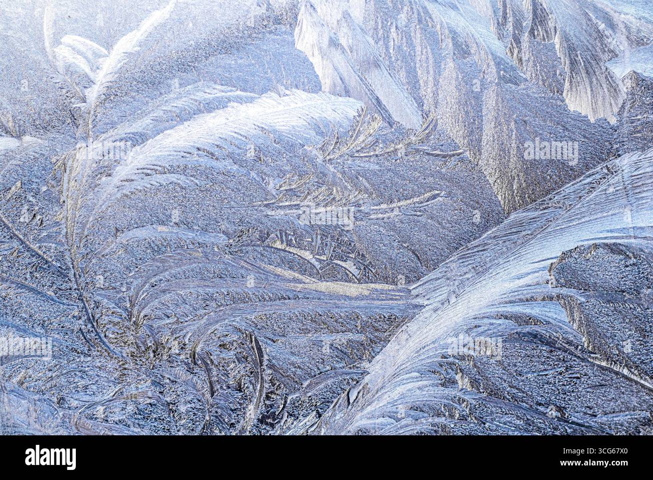 Intricate frost patterns detailed on a window during a cold winter morning Stock Photo