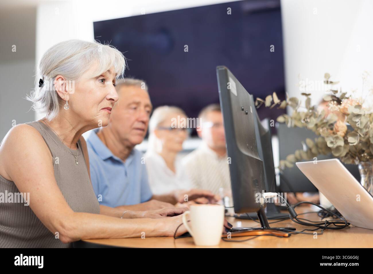 Old woman learning computer programs in training room Stock Photo