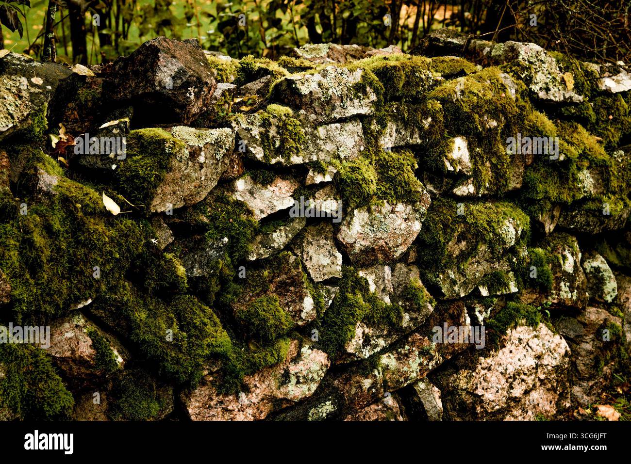 Large pebbles boulder rubble bowlder covered with green moss, stone texture background Stock Photo