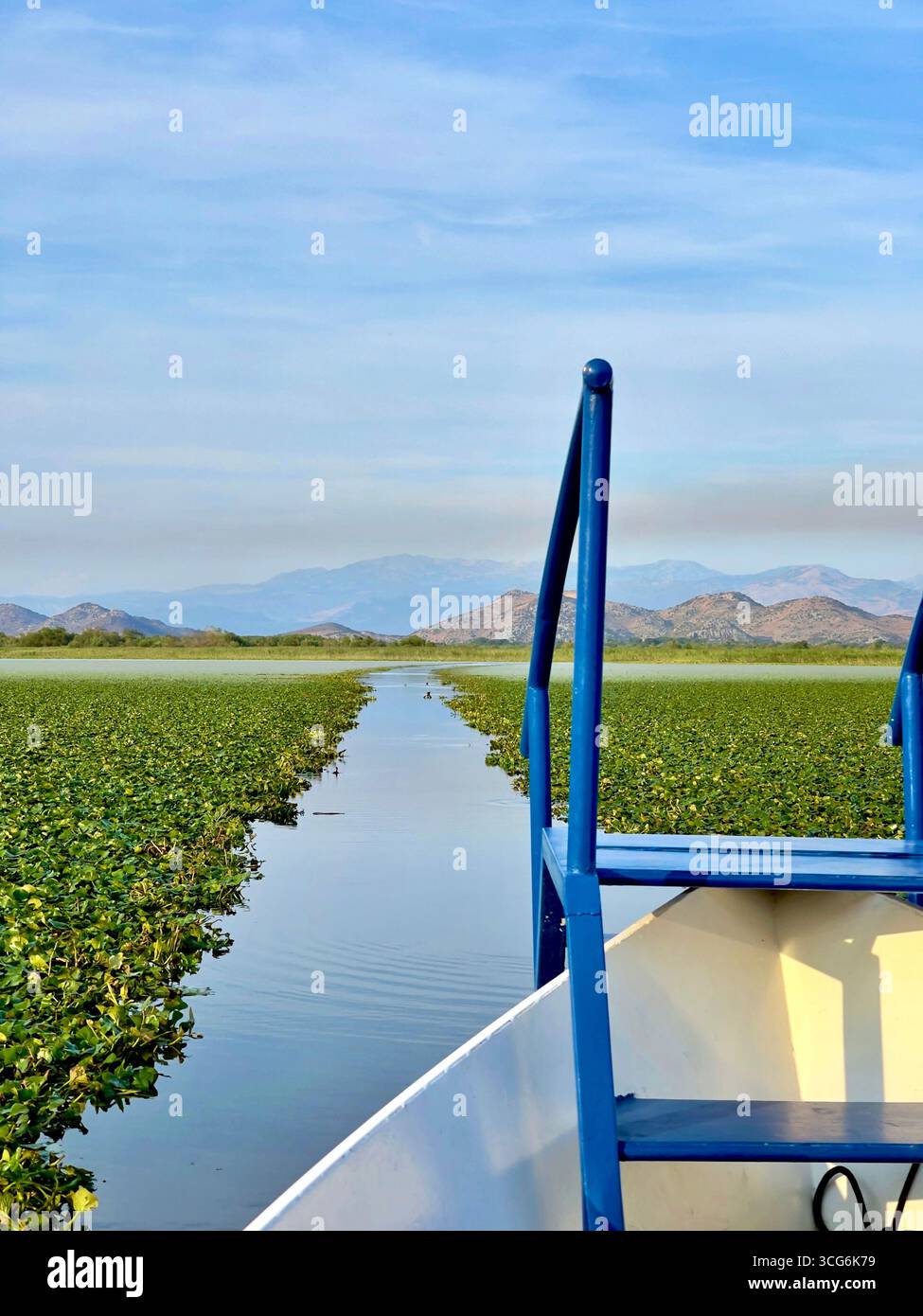 Boat tour on Lake Skadar, Montenegro and Albania border, navigating through floating vegetation with mountain views under blue sky Stock Photo