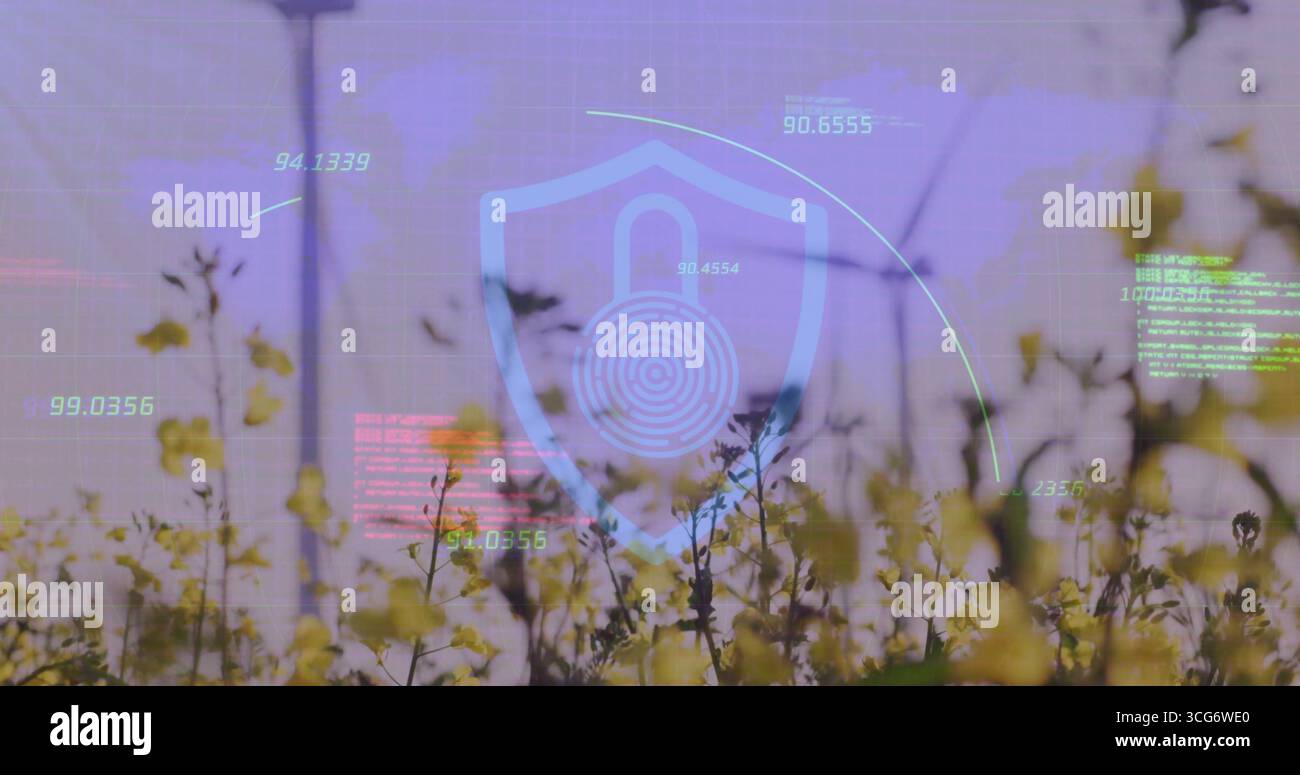 Displaying stylized blue shield with fingerprint over meadow at dusk with numeric metrics and code Stock Photo