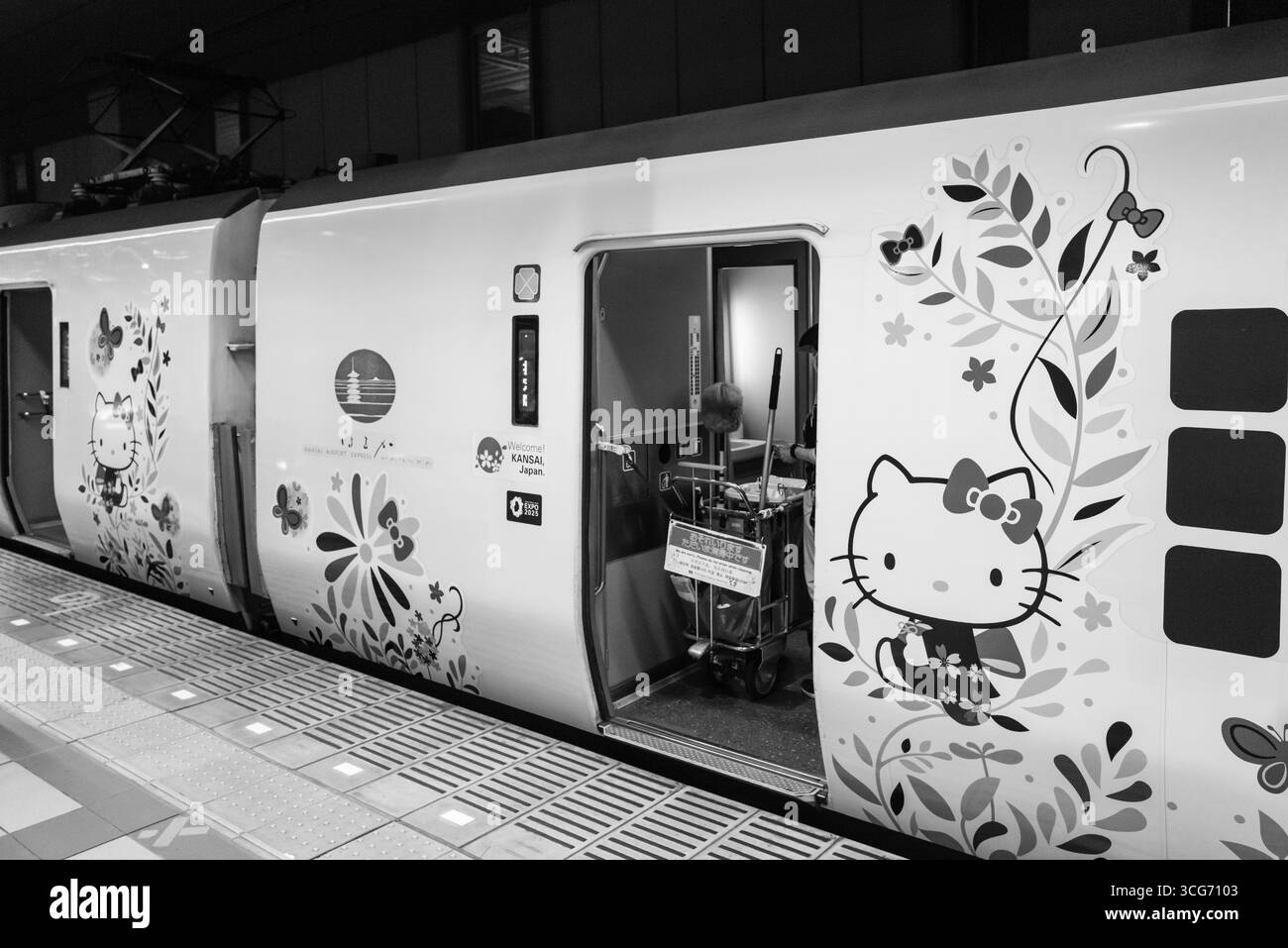 HELLO KITTY KIT3013 vloermatten zwart kleur, set van 4, zwart
