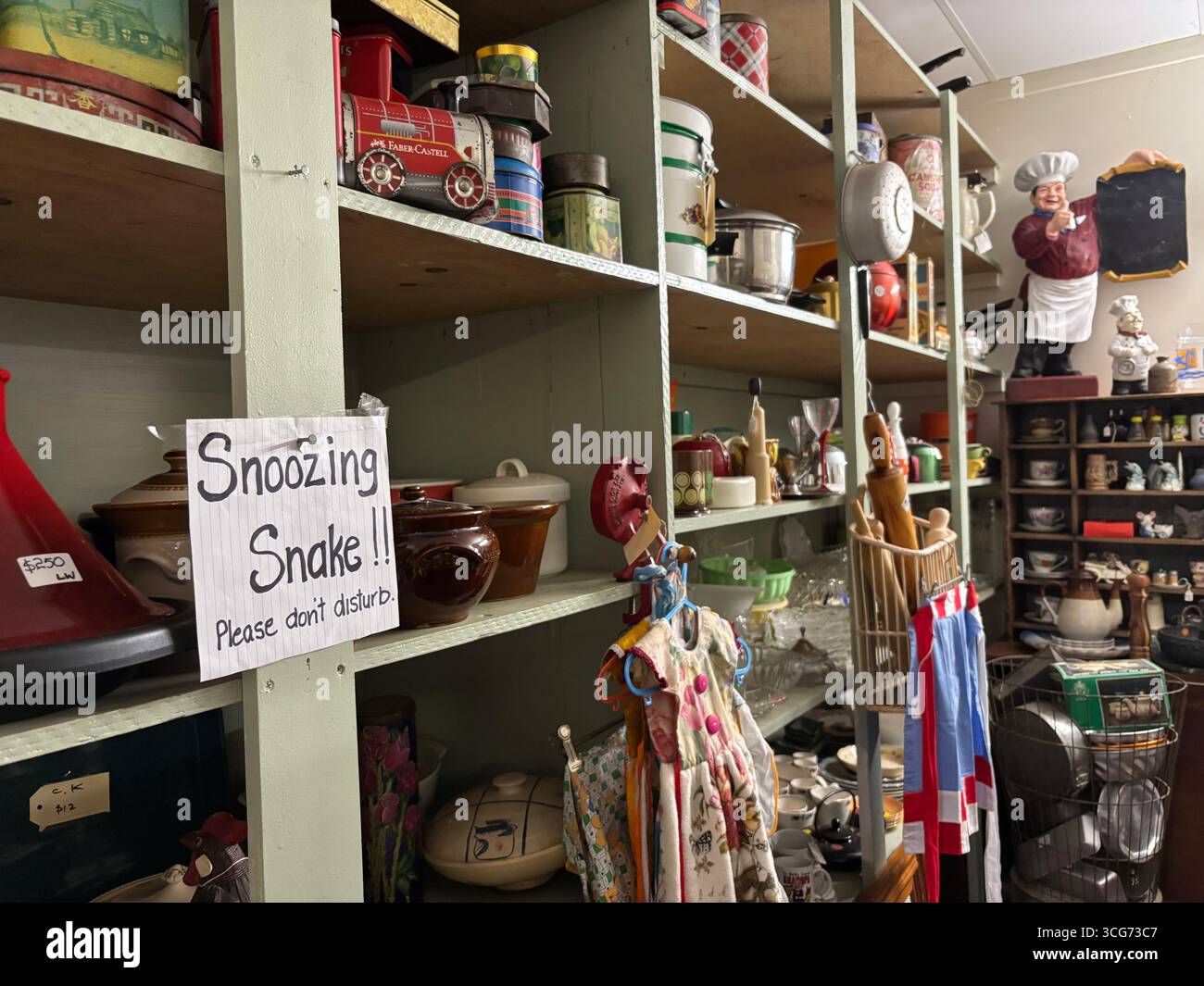 Sign warning that there is a carpet python sleeping in the vicinity, old wares shop near Yungaburra, Atherton Tablelands, Queensland, Australia. No PR - Smartphone Captured Stock Image