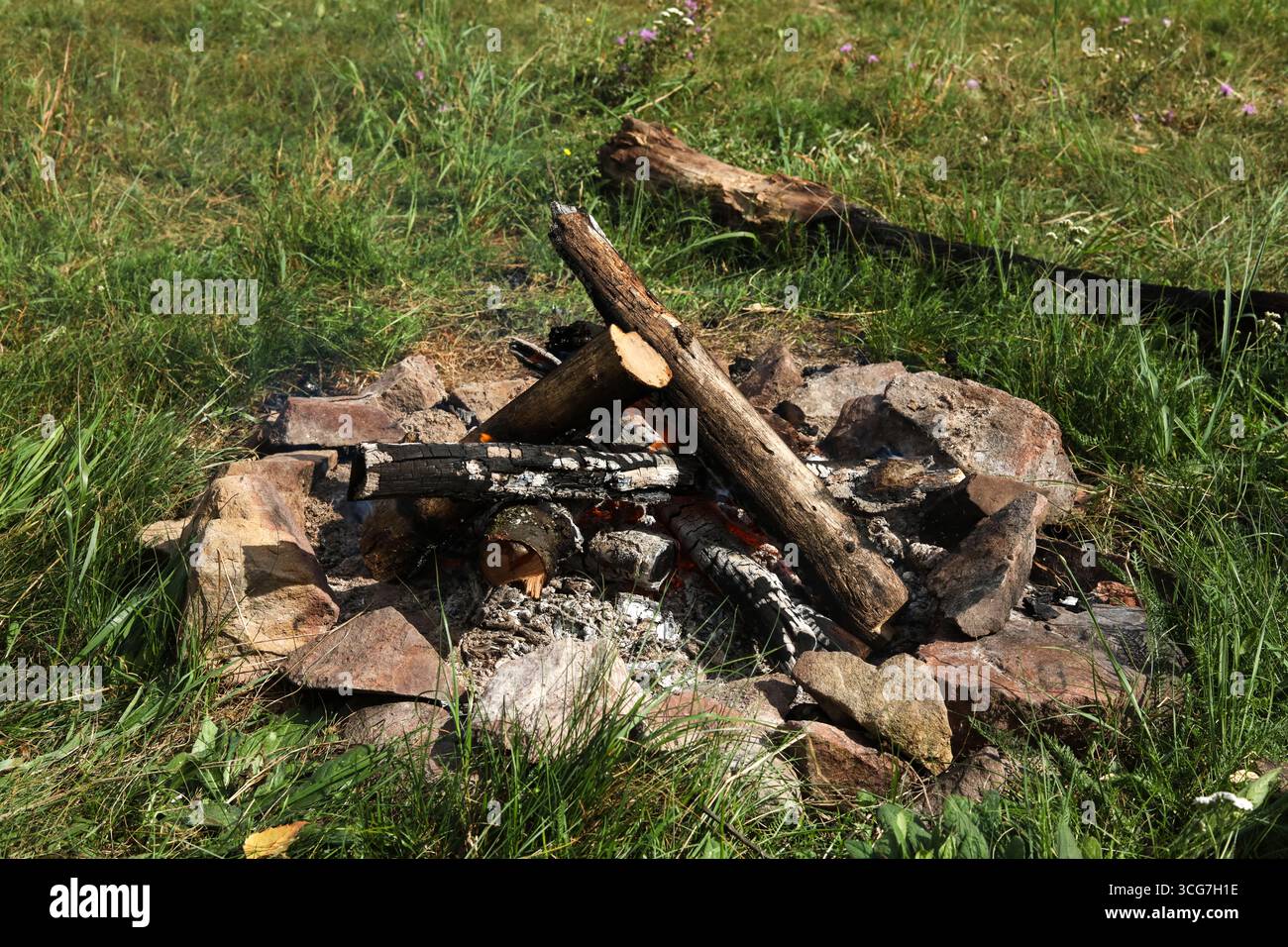 Bonfire with firewood in the forest on a summer day Stock Photo - Alamy