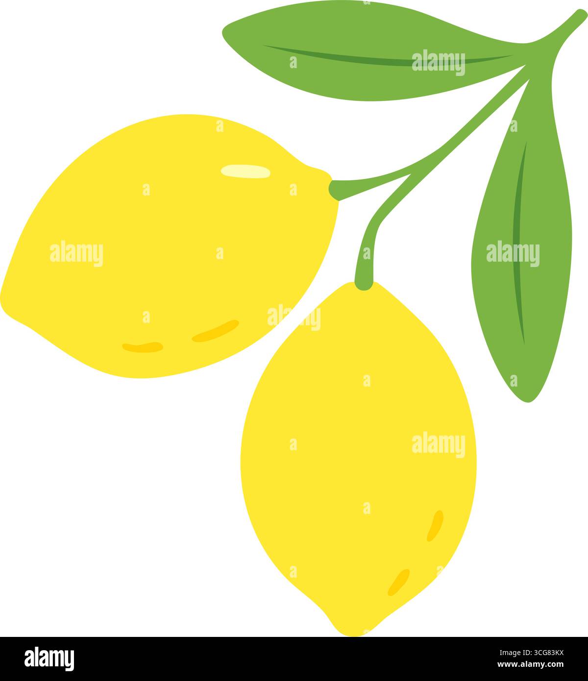 Pair of lemons with green leaves in fresh. Minimal cartoon vector style Stock Vector