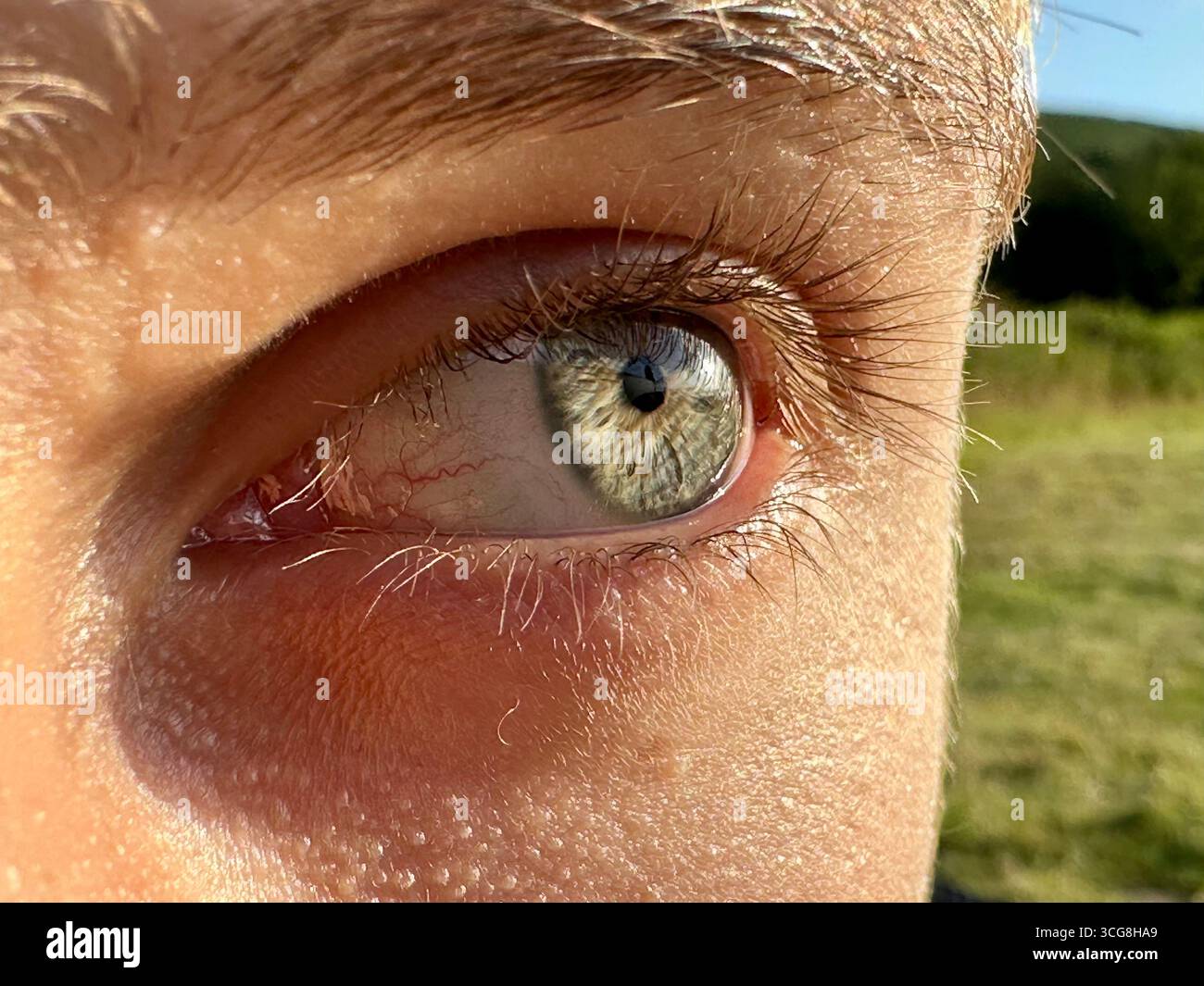Close-up of a teenager's green eye in the sun - Smartphone Captured Stock Image