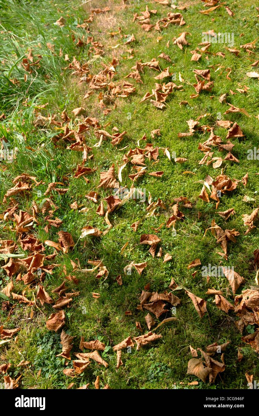 Late autumn 2025 hi res stock photography and images Alamy