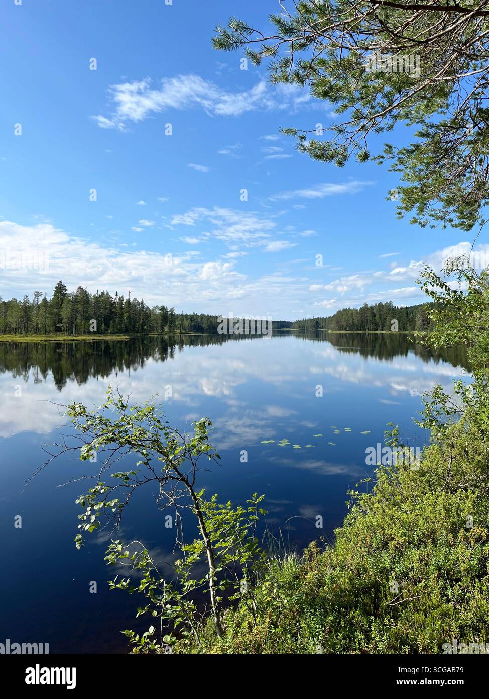 View of a lake on a summer day in Finland. Blue sky, clouds and trees reflected from the water surface. - Smartphone Captured Stock Image