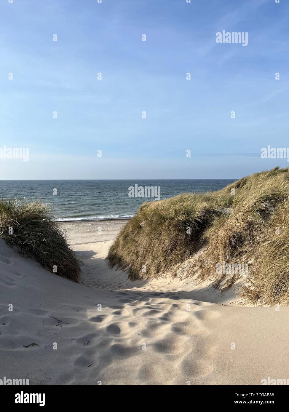 Sand dunes on the beach in North Jutland, Denmark. - Smartphone Captured Stock Image