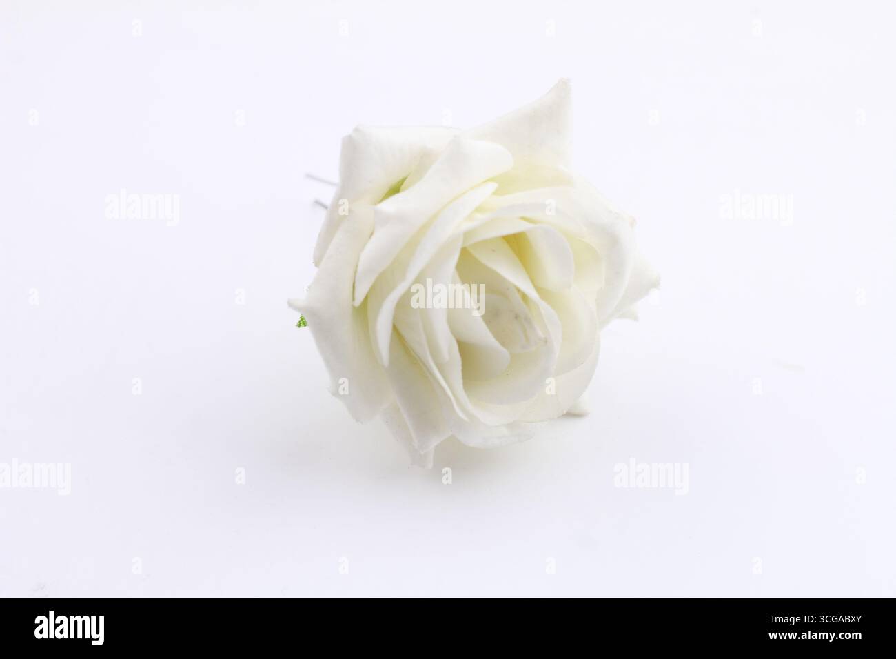 A beautiful artificial white Rose on a white background. Stock Photo