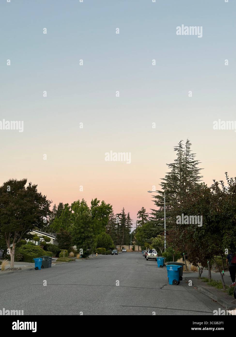 A quiet residential street with a painted STOP sign on the asphalt, lined with houses, trees, and cars at dusk in California - Smartphone Captured Stock Image