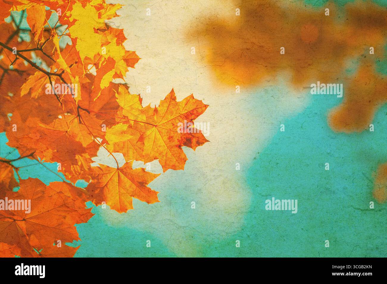 Autumn leaves over vintage background. Perfect grunge fall texture. Stock Photo
