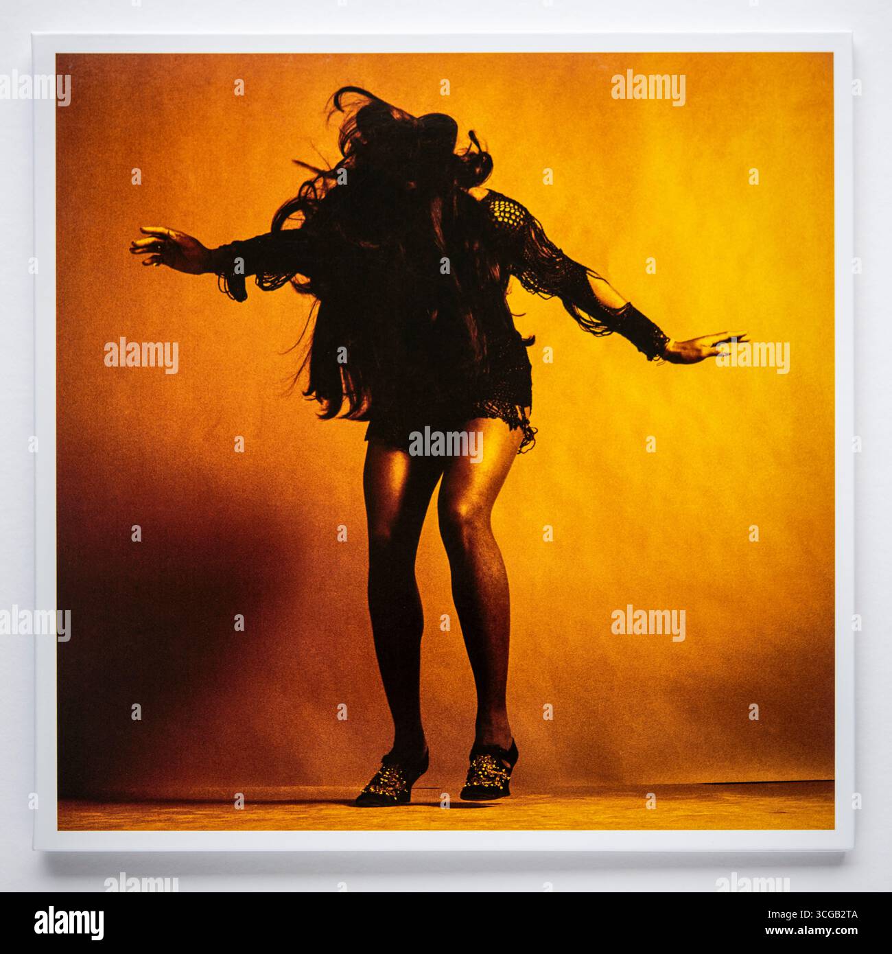 The last shadow puppets hi-res stock photography and images - Alamy