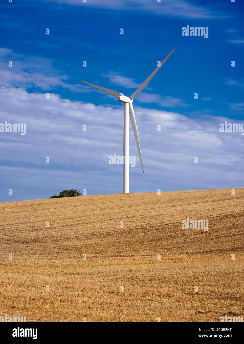 Field Wind turbine Stock Photo