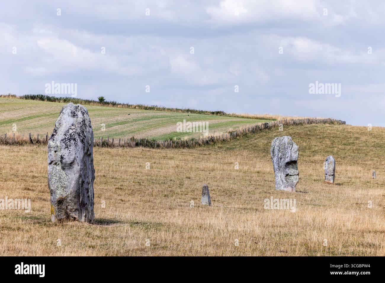 Avebury stone circle Stock Photo