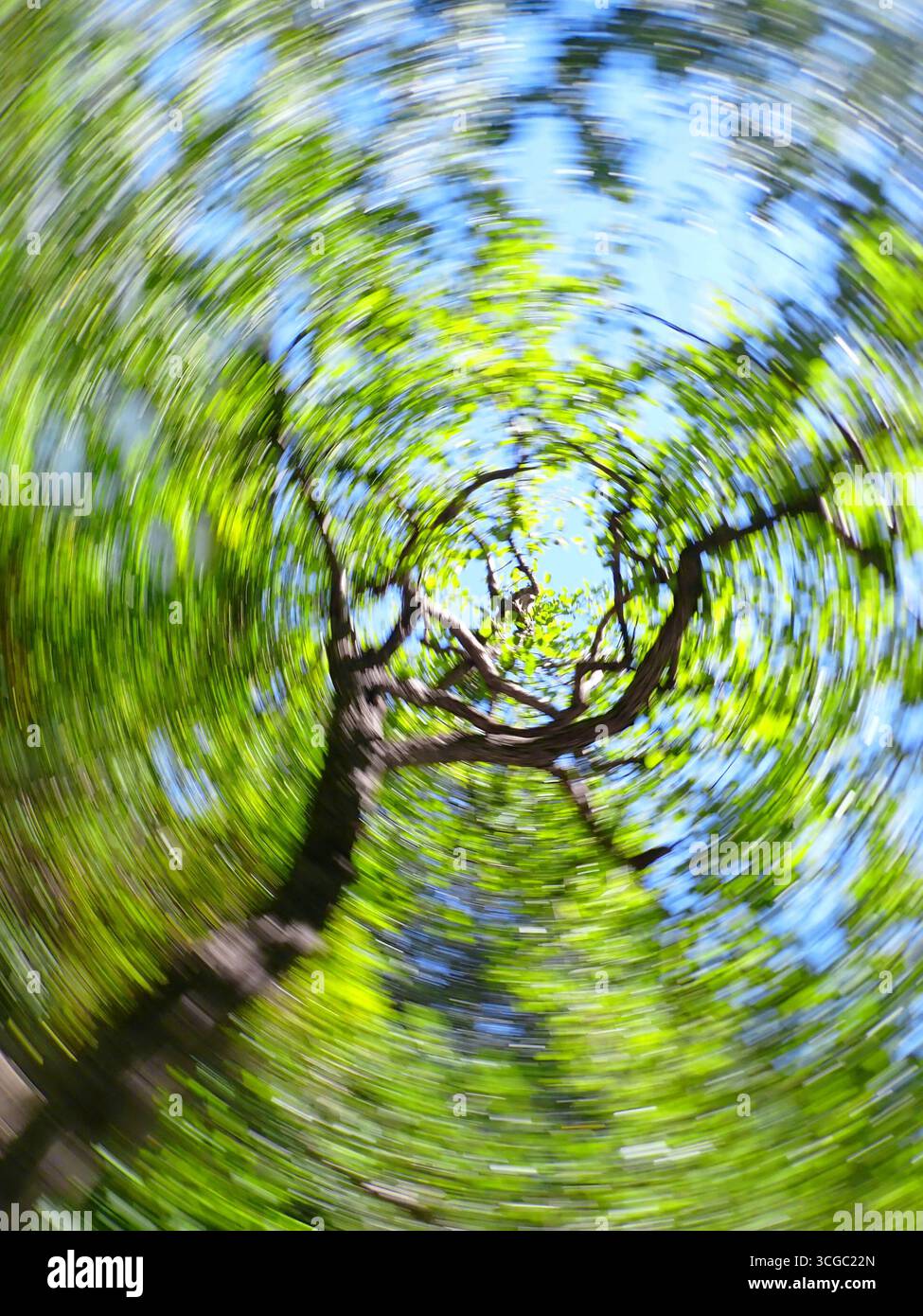 Abstract tree landscape Stock Photo