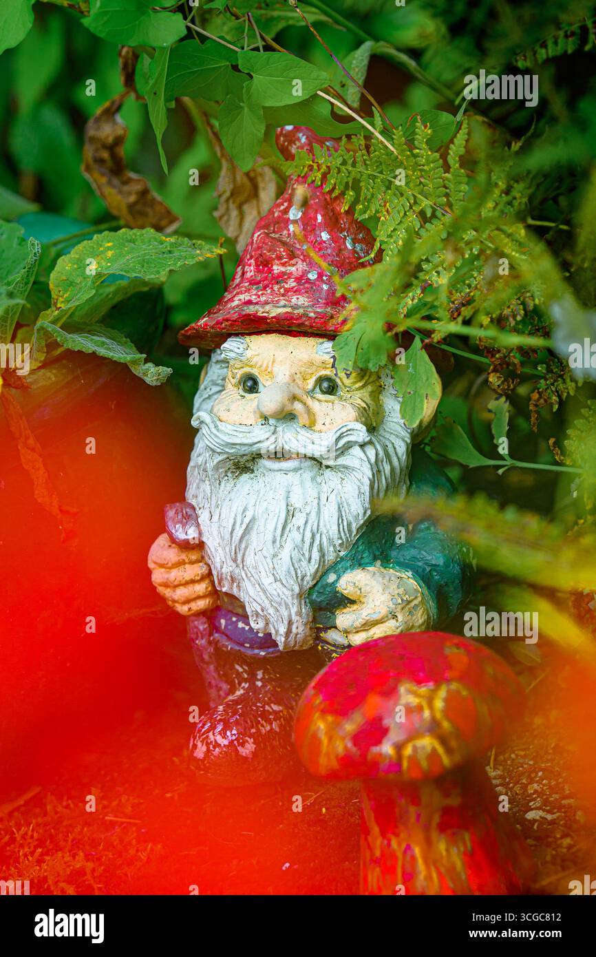 Garden Gnome and mushroom Stock Photo