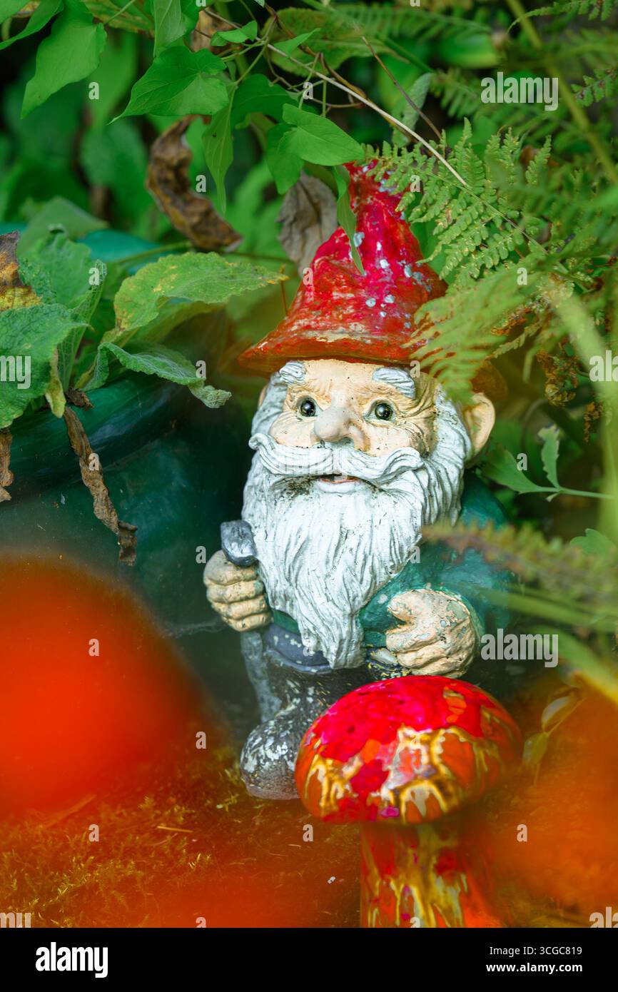 Garden Gnome and mushroom Stock Photo