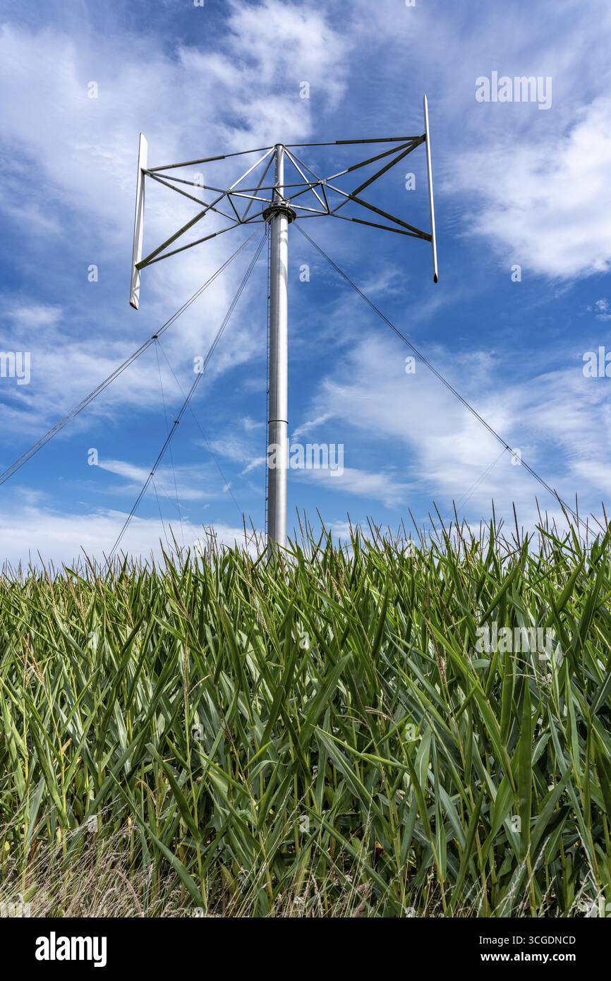 Vertical axis wind turbine, Darrieu wind turbine, 2 vertically mounted ...