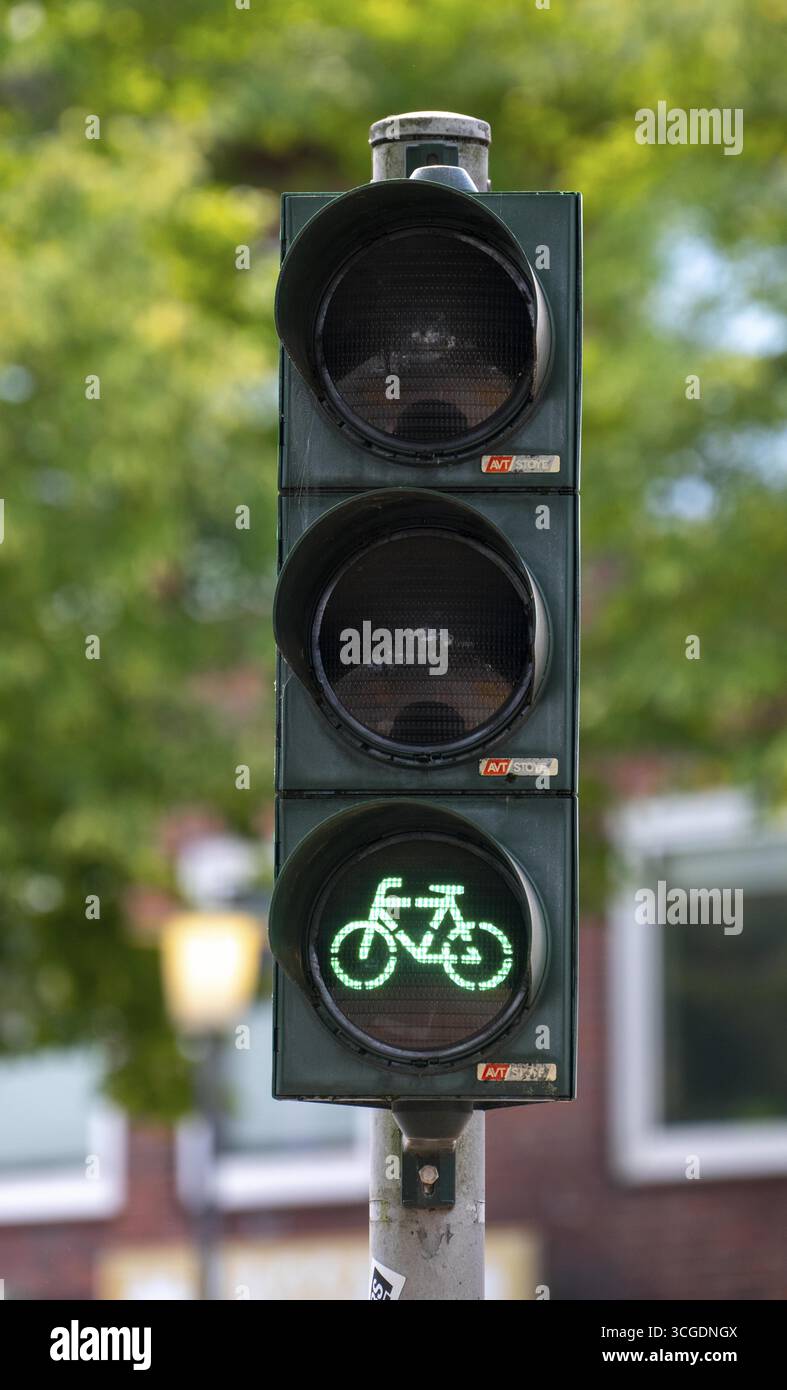 Bicycle traffic in Muenster, bicycle traffic light, traffic light for bicycle traffic only, on a cycle path in the city centre, next to a road for car Stock Photo