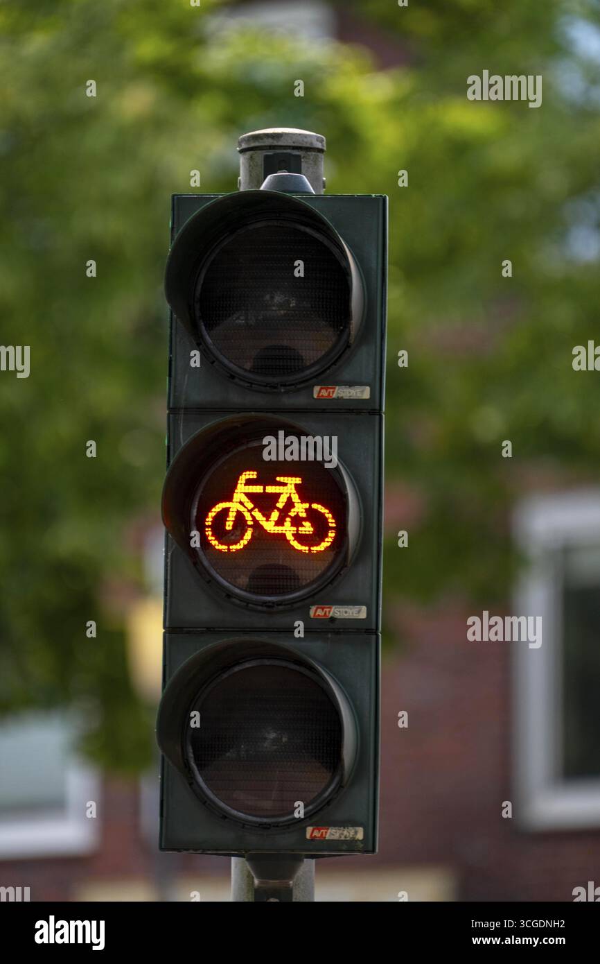 Bicycle traffic in Muenster, bicycle traffic light, traffic light for bicycle traffic only, on a cycle path in the city centre, next to a road for car Stock Photo