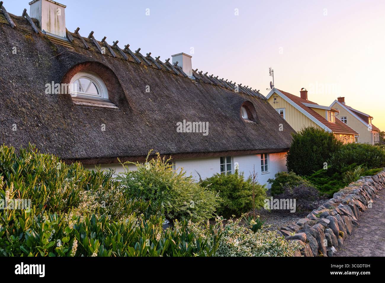 Lerhamn, Sweden ; August 13, 2025: Romantic Swedish thatched coastal houses with garden in soft evening light, Skåne län. Stock Photo