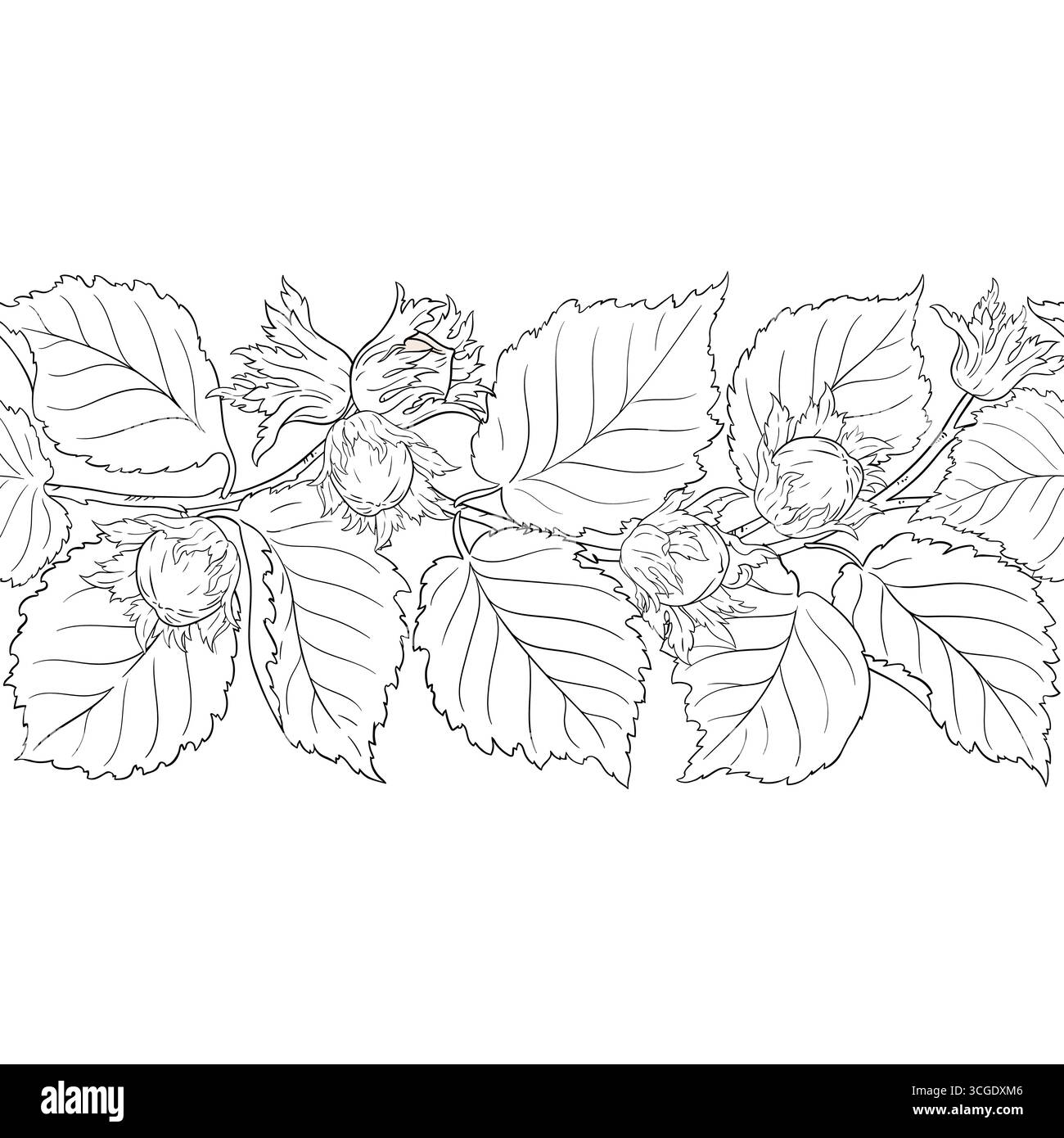 Hazelnut Outline Horizontal Seamless Pattern. Stock Vector