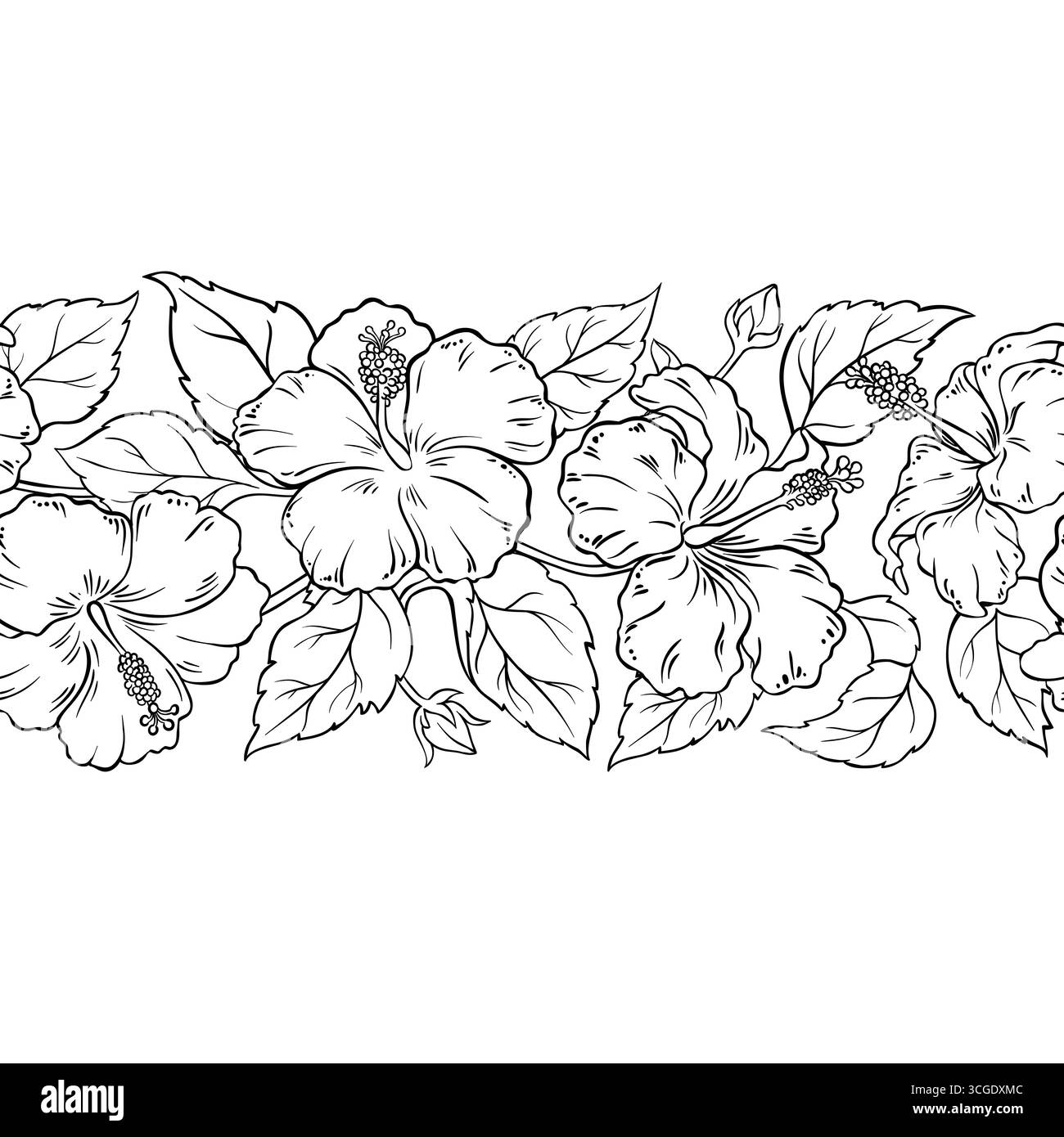 Hibiscus Outline Horizontal Seamless Pattern Stock Vector Image & Art ...