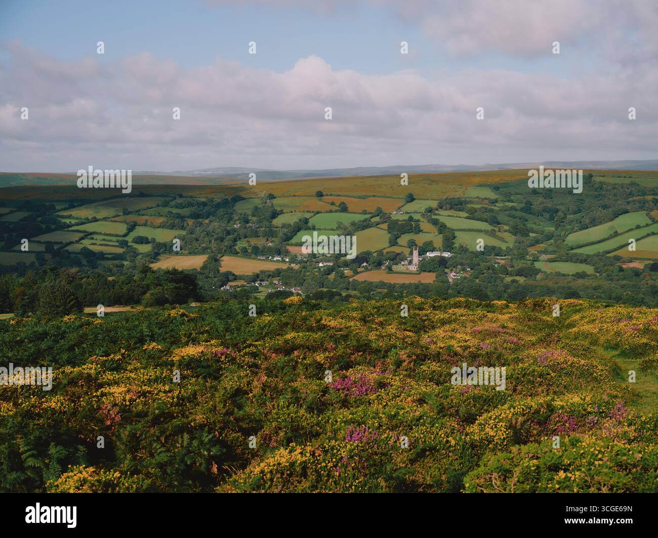 The summer moorland landscape with Gorse and heather looking down to Widecombe on the Moor in Dartmoor Devon England UK Stock Photo