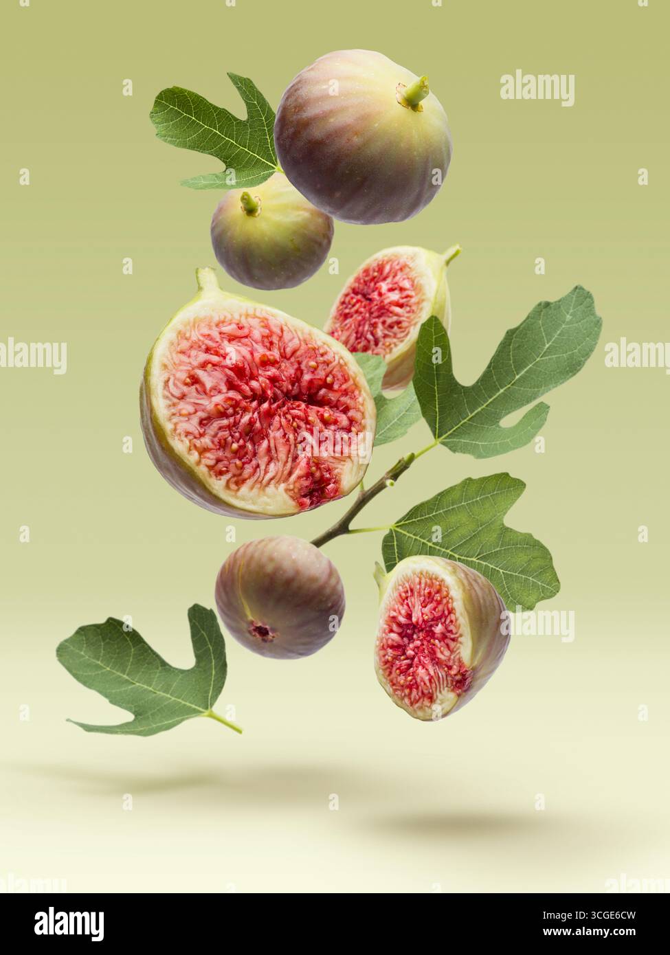 Fresh ripe figs whole and sliced with leaves falling on green background. Stock Photo