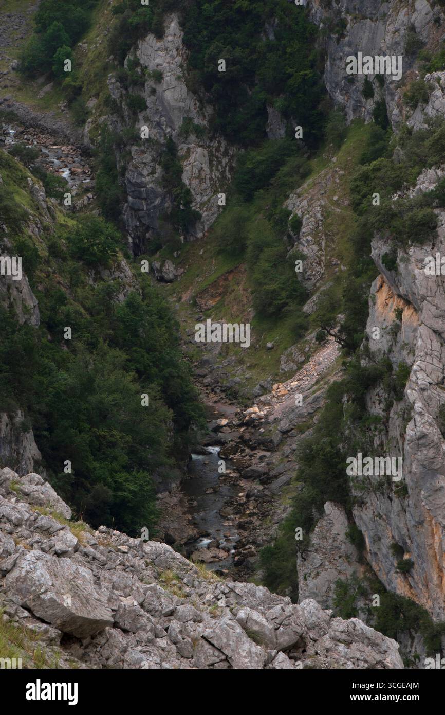 Río desciende por el fondo de un cañón en los Picos de Europa, rodeado de altas paredes de roca y vegetación. Stock Photo
