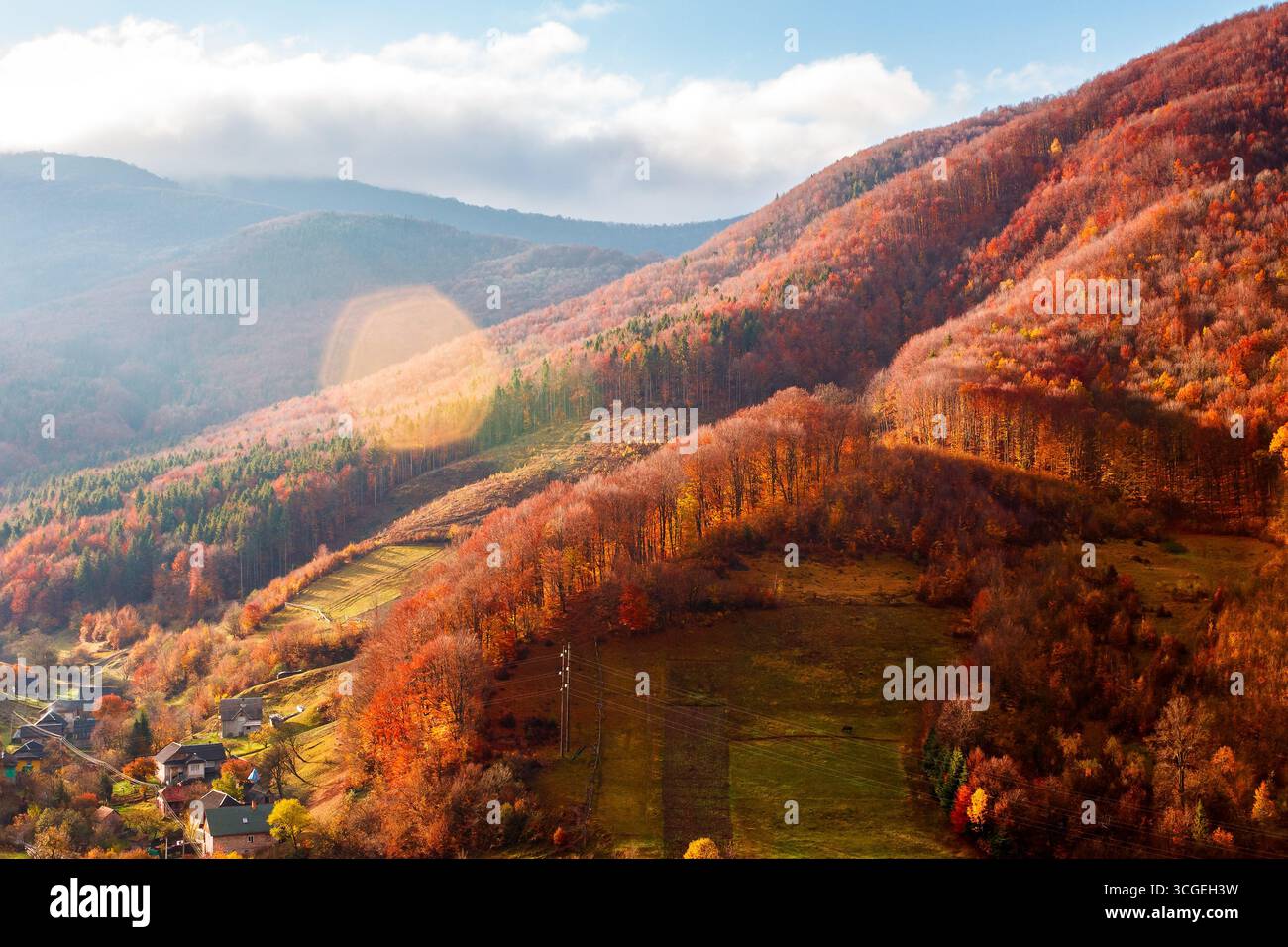 beautiful autumn morning in mountains. trees on the edge of a hill in fall colors. wonderful countryside of ukraine on a sunny day Stock Photo