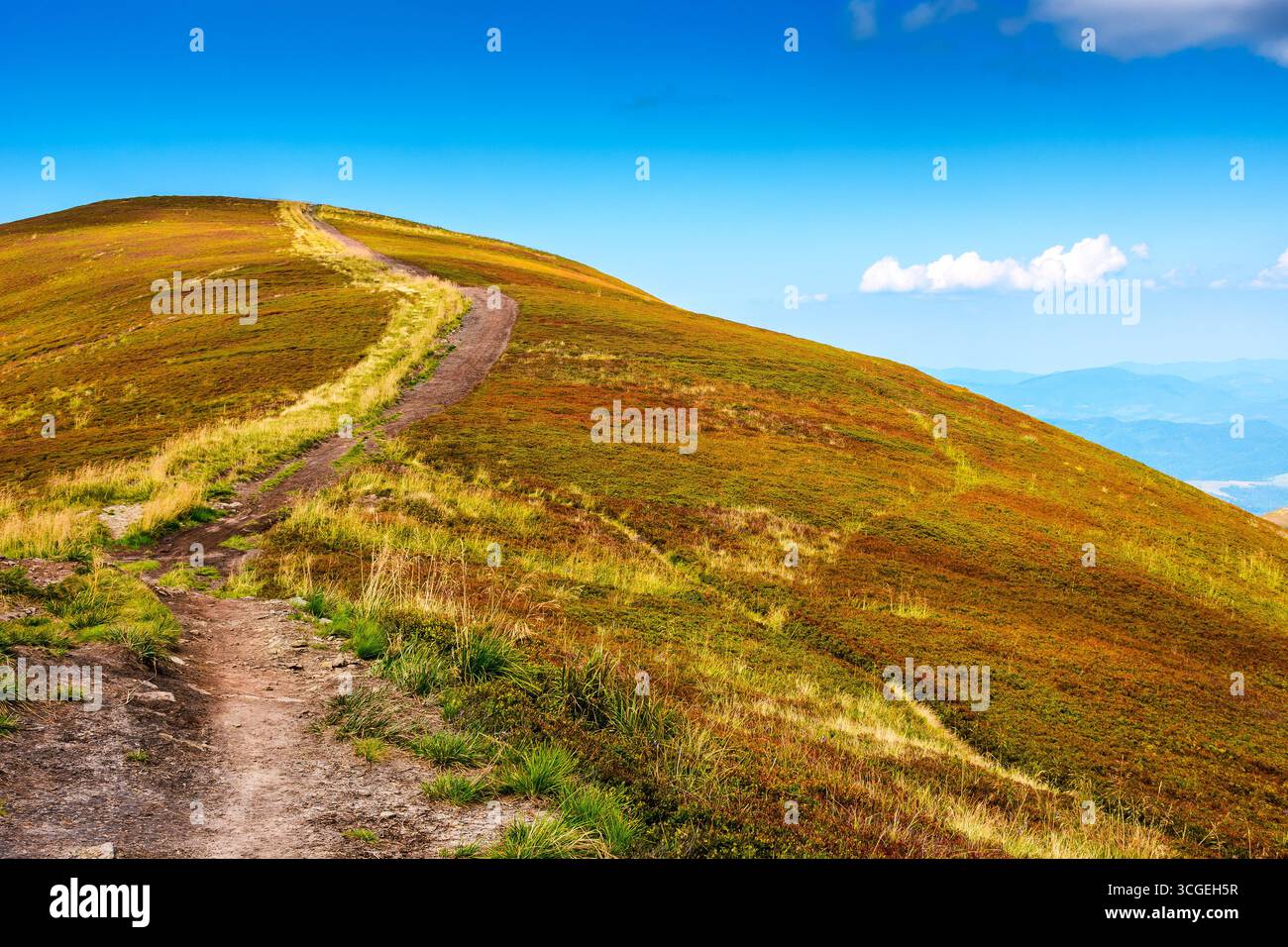 hiking path for mountain tourism in late summer. alpine landscape of ukraine. beautiful scenery of borzhava ridge with grassy rolling hills under blue Stock Photo