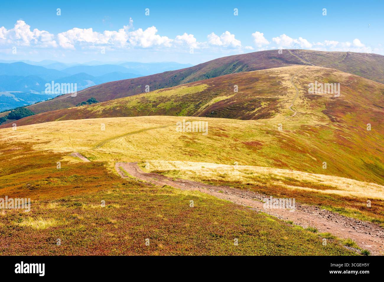 scenery of borzhava ridge in late summer. outdoor adventure. alpine landscape of carpathian mountain range on a sunny afternoon. grassy meadows and ro Stock Photo