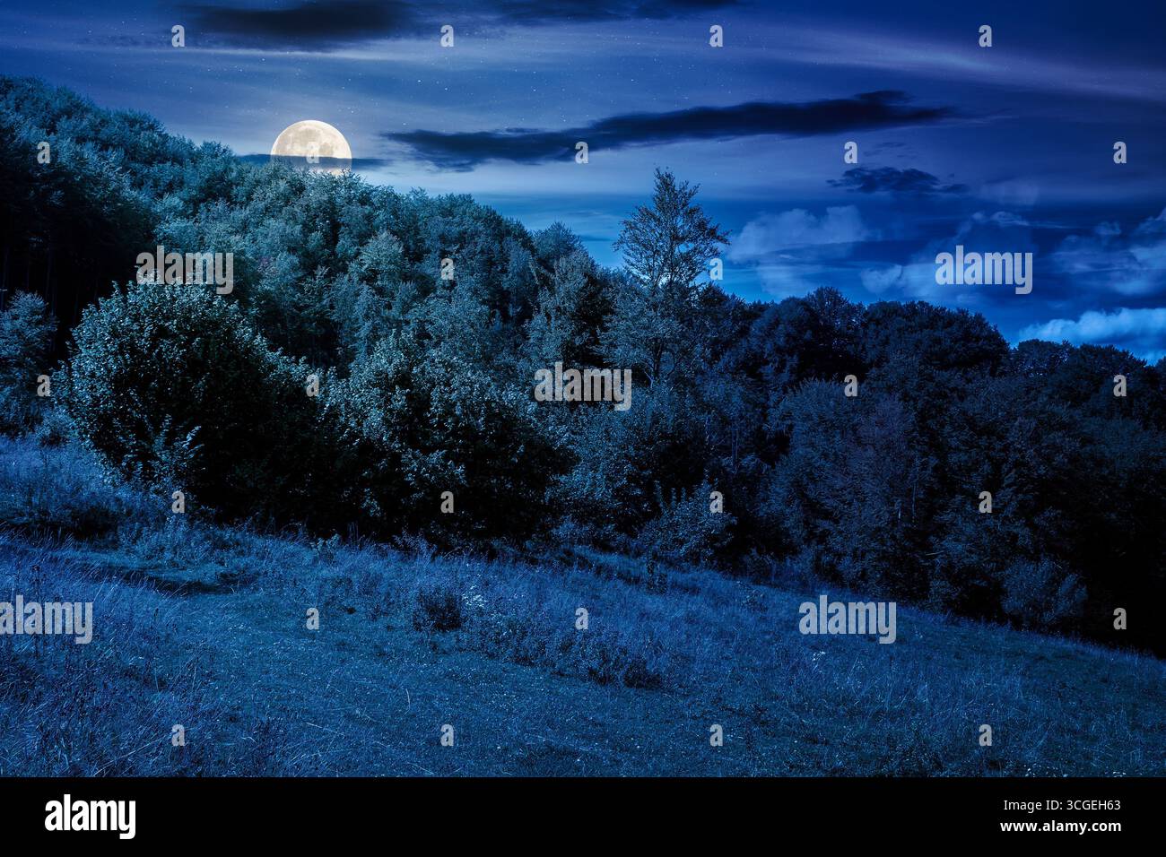 forest on the hill in rural area of mountains in autumn at night. wonderful scenery of countryside district in full moon light. deciduous trees near g Stock Photo