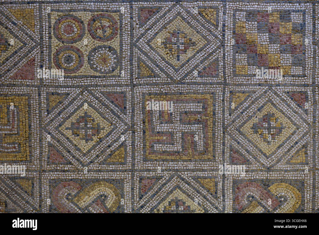Detailed Roman mosaic with floral and geometric patterns in an ...