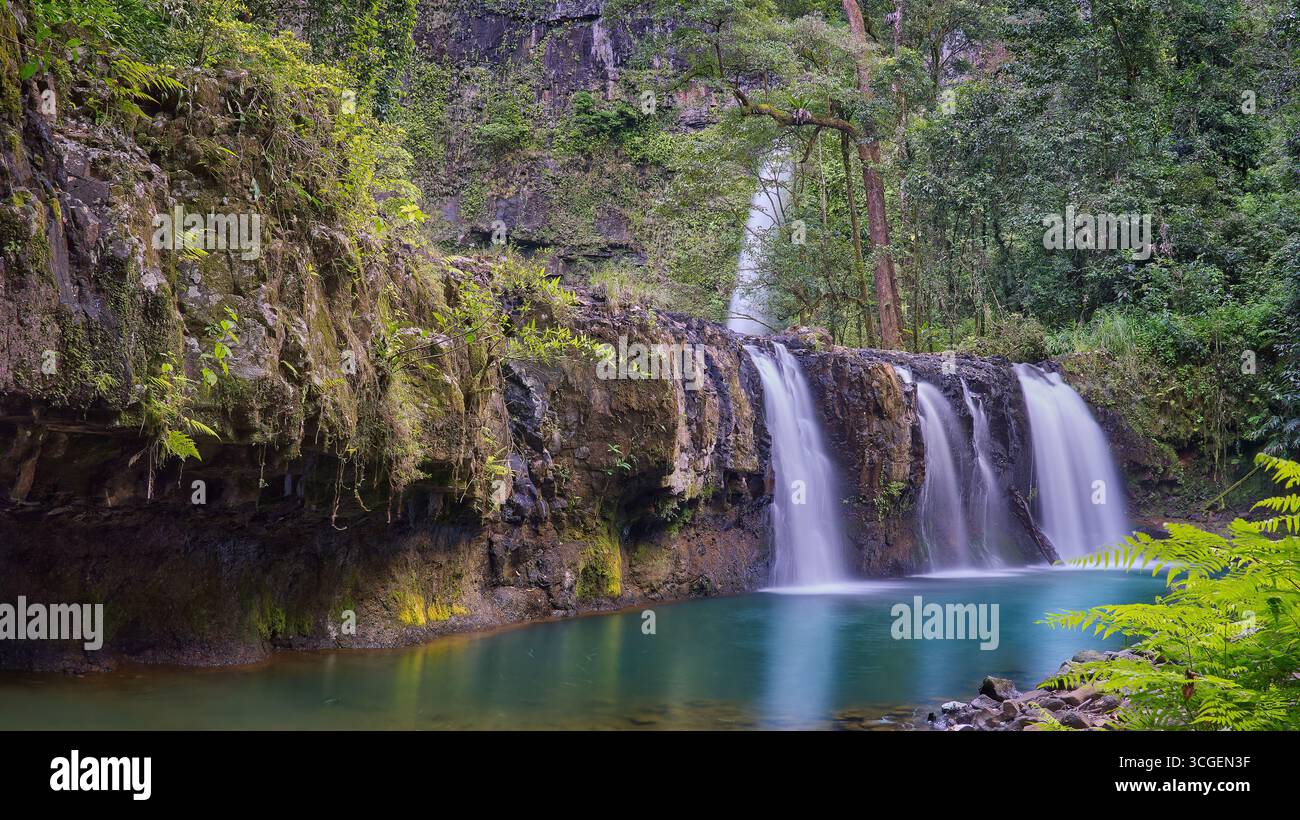 Nandroya falls waterfall and cascade in dense tropical rainforest at ...