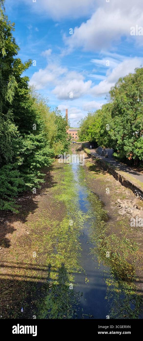 Leeds 28 Aug 2025. Algae grows on the Leeds-Liverpool Canal after prolonged dry weather results in low water levels - Smartphone Captured Stock Image