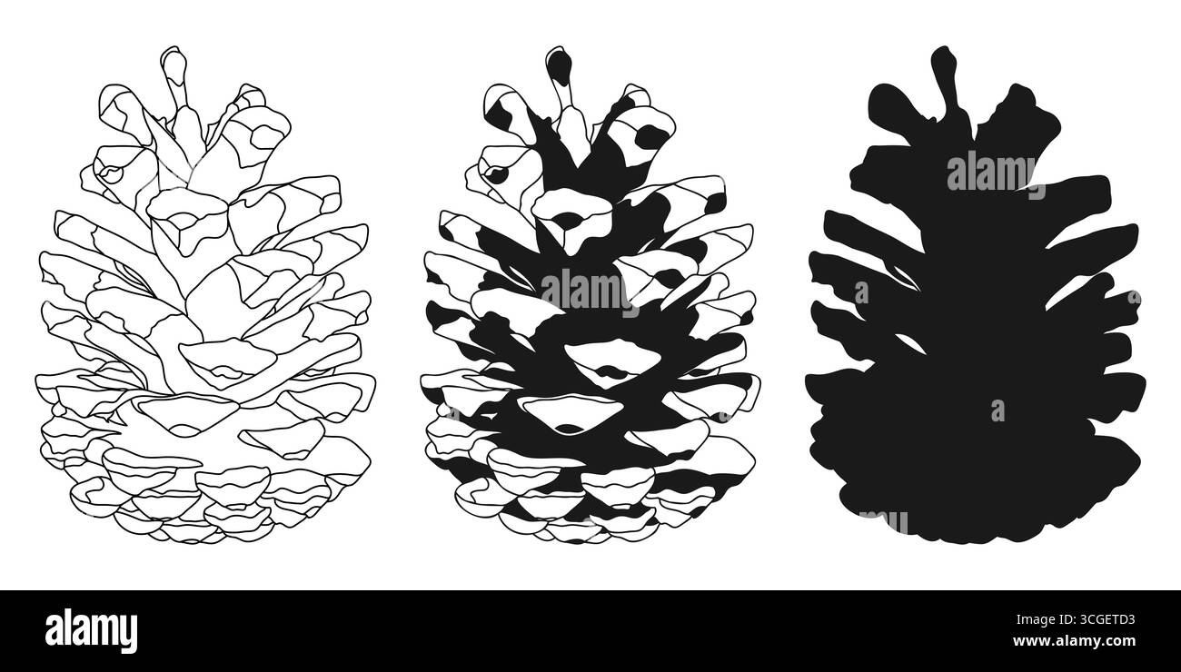 Conifer Pine Fir Tree Cone Outline Silhouette Stock Vector