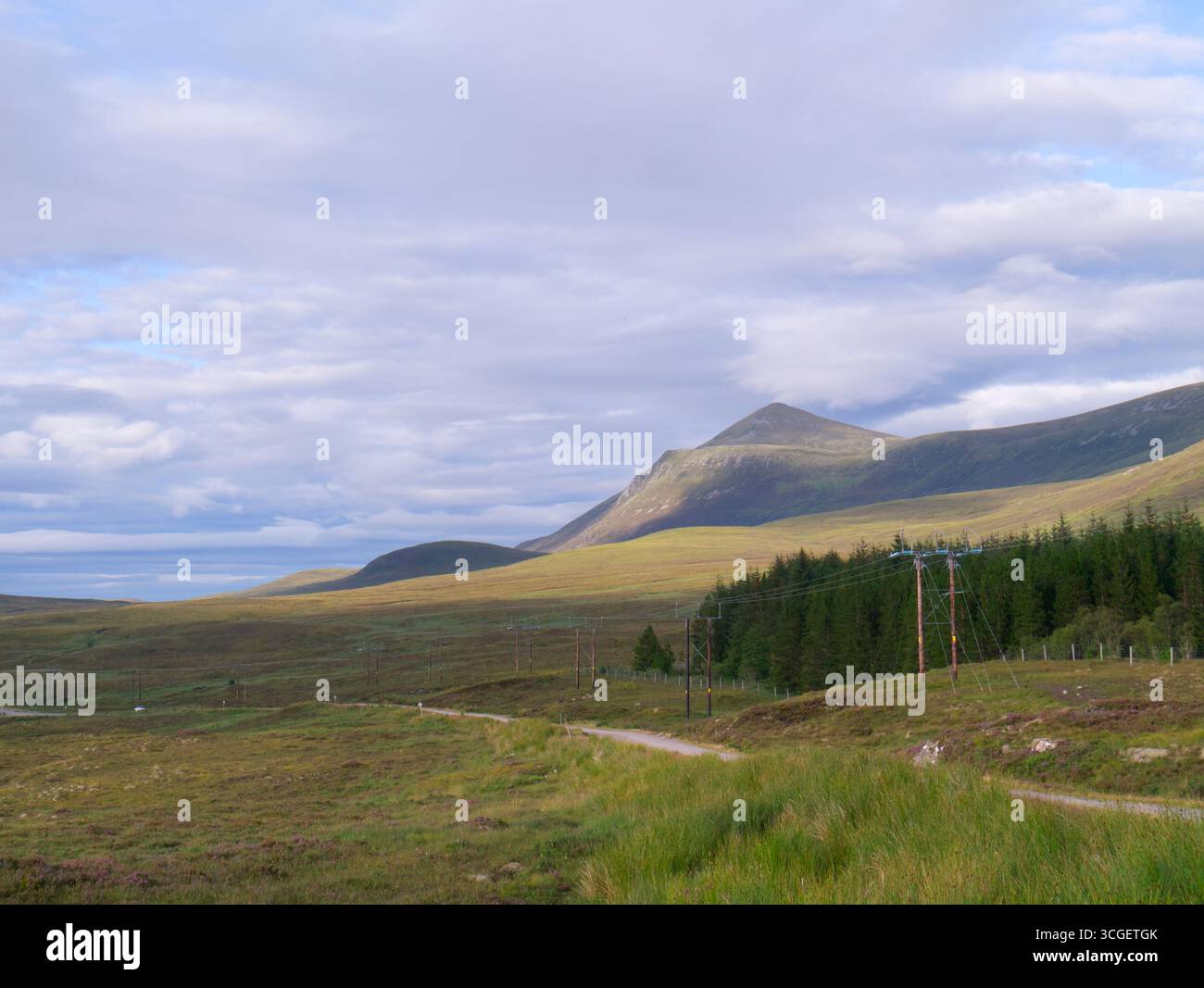 Trident wood pole overhead transmission line from Creag Riabhach wind farm, Sutherland Stock Photo