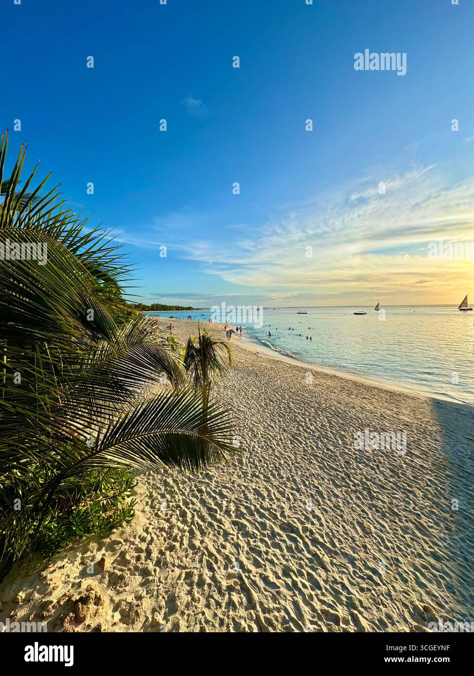 White sandy beach lined with tropical palm trees overlooking turquoise sea and blue skies in Zanzibar, Tanzania, a perfect summer holiday paradise escape - Smartphone Captured Stock Image