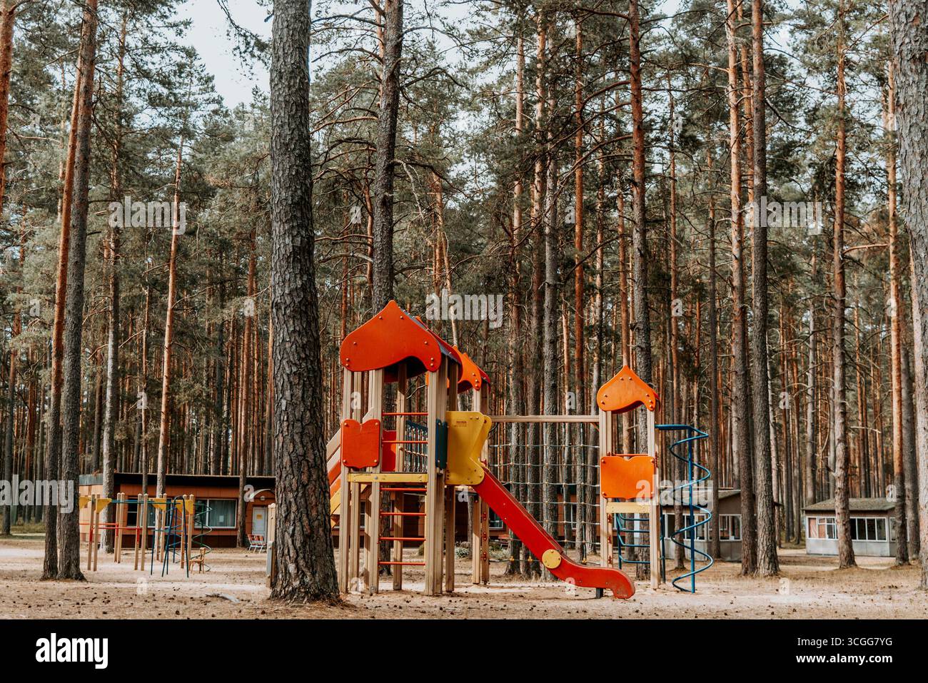 Empty playground with multi-colored play complex in pine forest, panorama on summer cloudy day Stock Photo