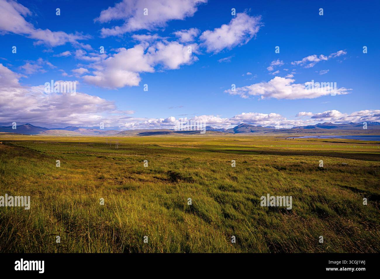 Golden light spills across Iceland’s open fields where vast grasslands stretch toward distant mountains beneath a wide cinematic sky Stock Photo