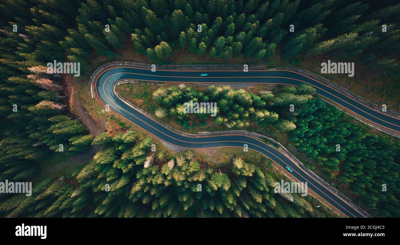 Aerial view of winding mountain road surrounded by dense green forest ...