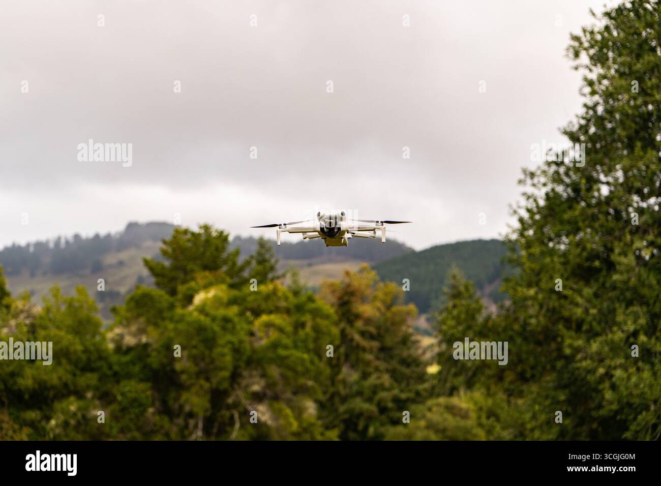 Drone flying in forest, beautiful landscape- Dron volando en bosque, lindo paisaje Stock Photo