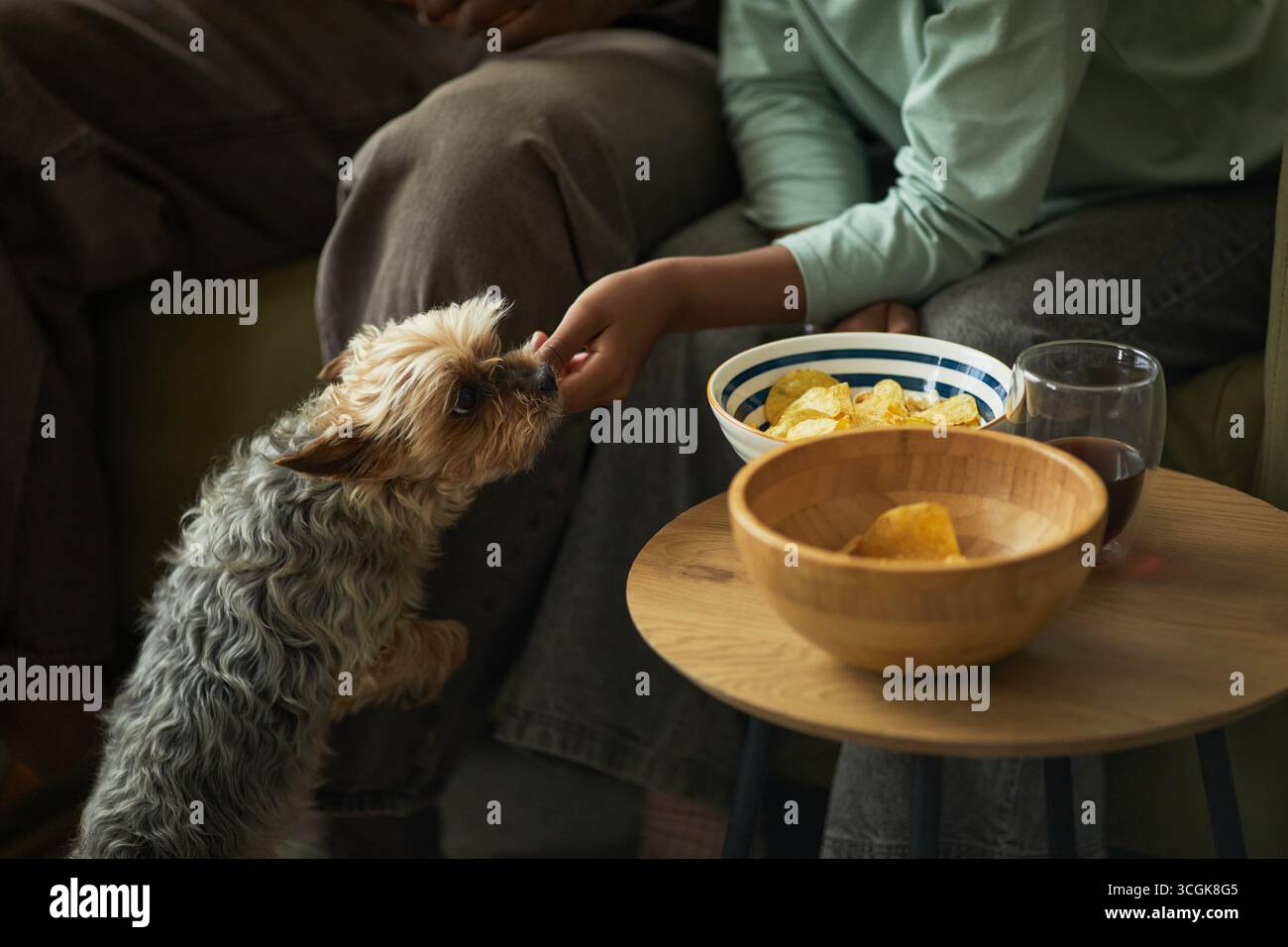 Kid feeding dog hi-res stock photography and images - Alamy, image size:1300x956