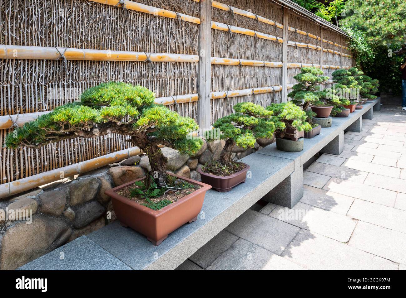 bonsai lampen Bonsai Lamp  Kisho Design