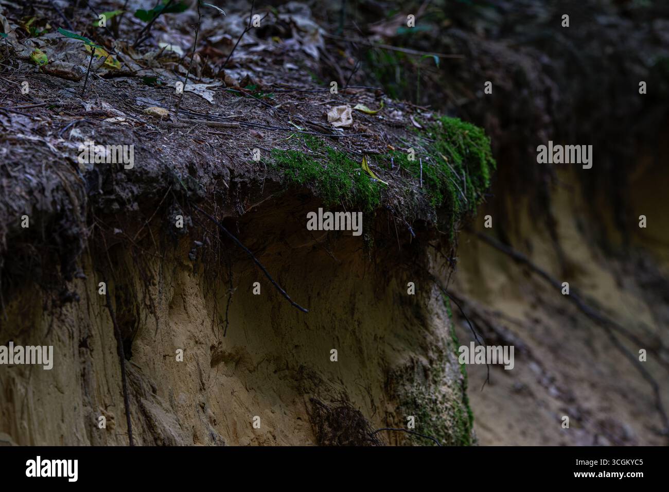 Cross section earth layers hi-res stock photography and images - Alamy