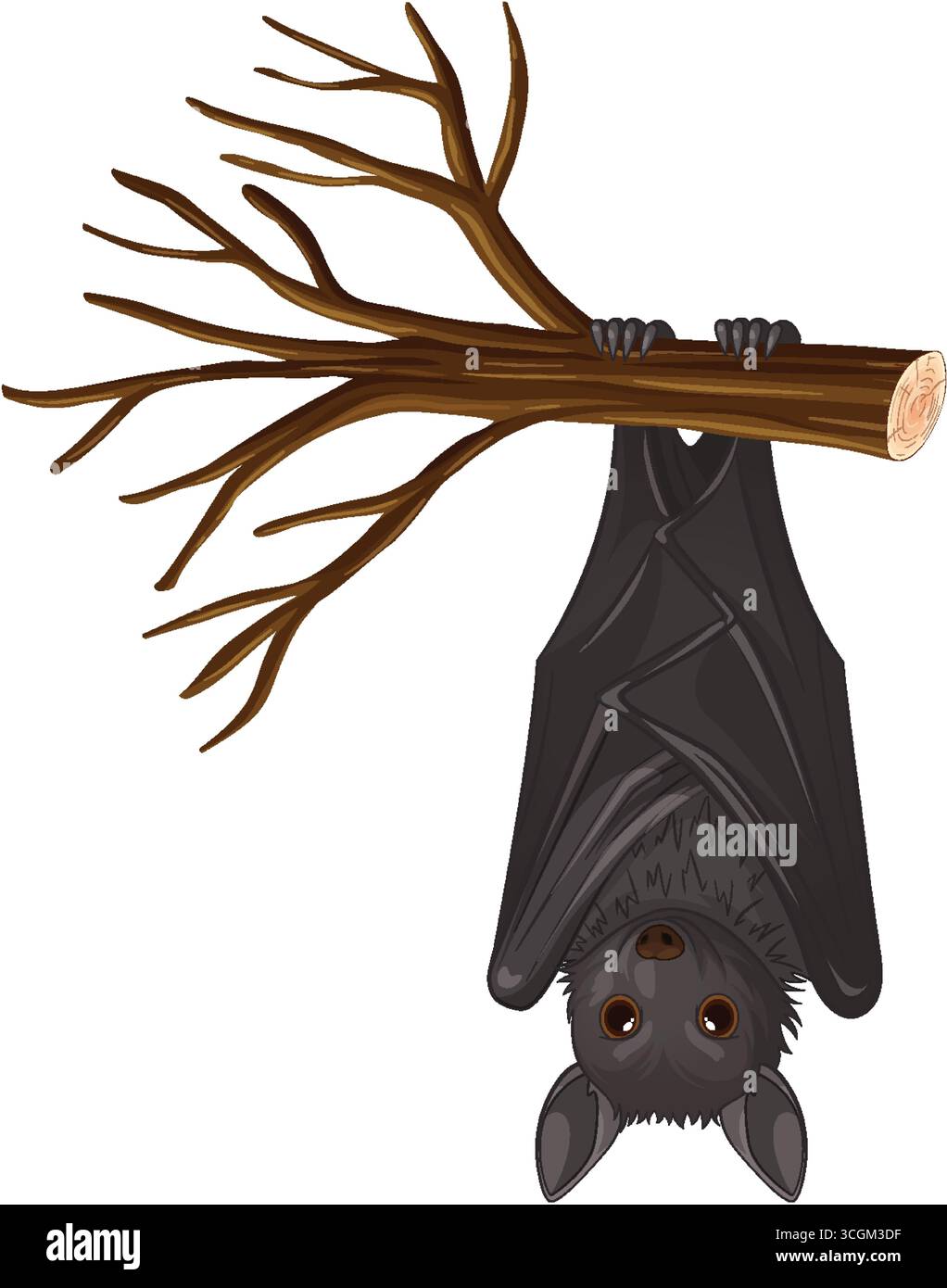 Realistic vector illustration of a bat hanging upside down from a ...