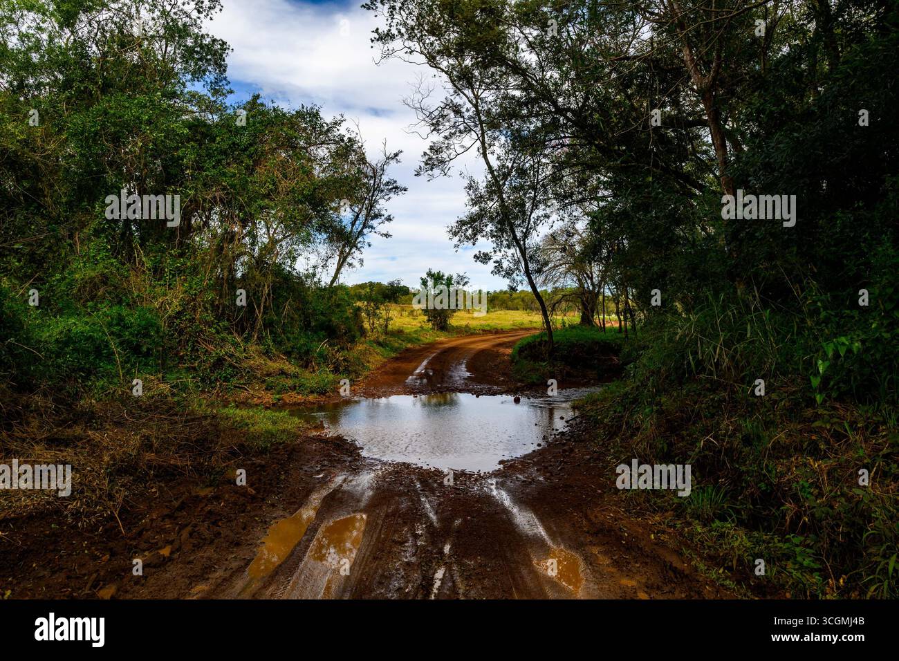 Atmosphere In Recce ,During. Fia World Rally Championship WRC ueno ...